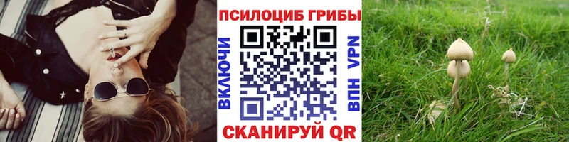 Псилоцибиновые грибы Magic Shrooms  Лабинск 